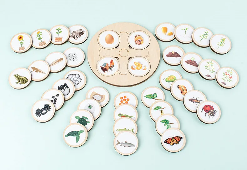 

Plant Growth Cognition Board for Kids Creative Children Picture Puzzle Biological Early Childhood Educational Toys Gifts 2022
