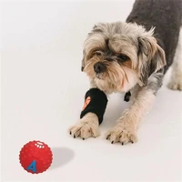 pet dog toy ball molar teeth bite resistant dog bouncing ball teddy samoy small and medium sized dog rubber training sound ball
