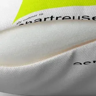 My Colour is Chartreuse декоративная подушка спальные подушки наволочка Рождественская