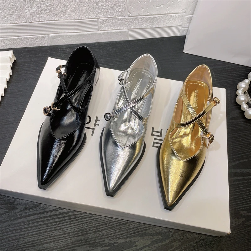 Vintage Style Mary Jane Women's Shoes 2023 Autumn/Winter New French Thick Heel Shallow Mouth Pointed Toe Single Shoe