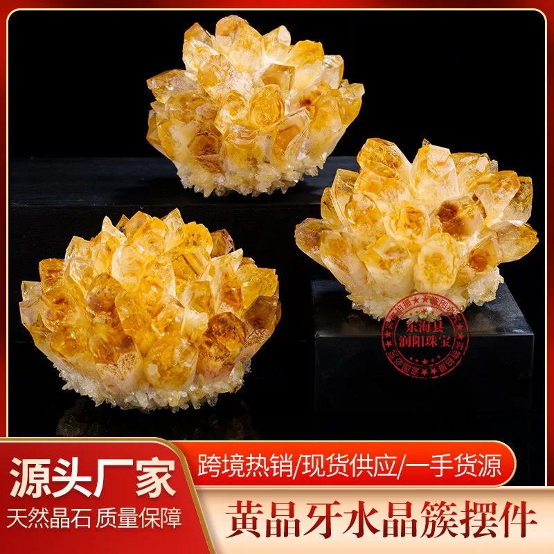 

Натуральный редкий желтый кристалл, цитрин, зубной кластер, маятник, аура, необработанный камень, минеральная энергия демагнитизации для дома