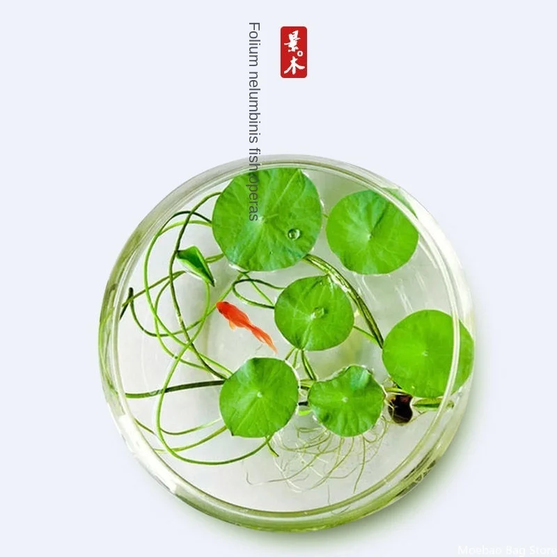 

New Lotus Aquarium Decoration Fish Tank Plants Lazy Novice Landscaping Fish Aquarium Ornament Easy to plant Aquarium Accessories