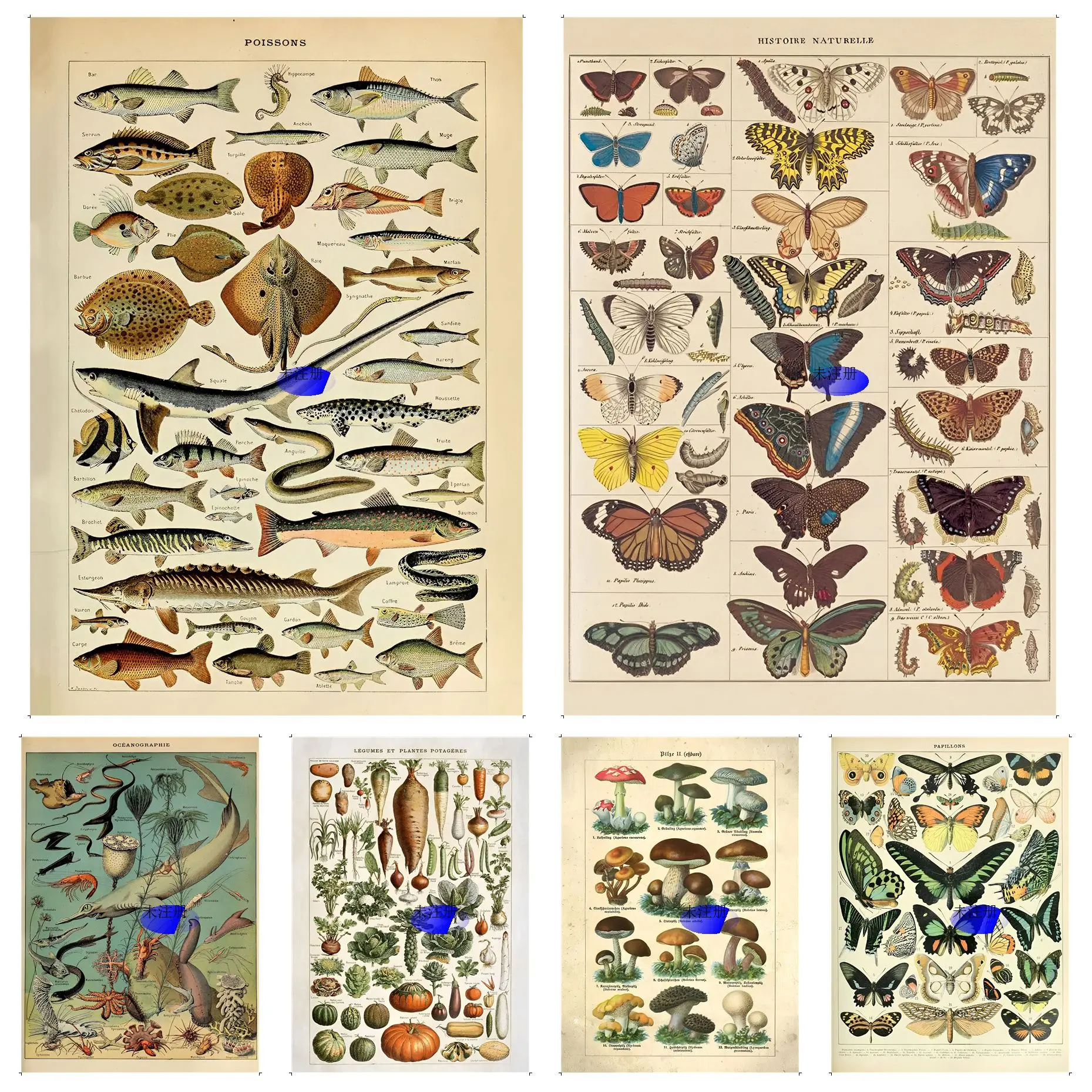 

Аниме-постеры в виде бабочки, искусственных грибов, клейкие винтажные Декорации для комнаты, дома, бара, кафе, винтажная декоративная живопись
