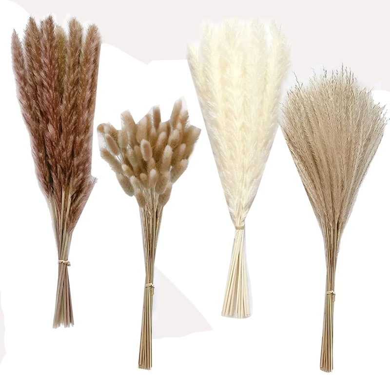 

100 Stems Of 17 Inch Pampas Grass Decor Natural Dried Pampas Grass Contains Pampas (White And Brown)