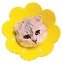 pet cat accessories cats sunflower elizabeth adjustable rehabilitation collar cute practical pet supplies dropship