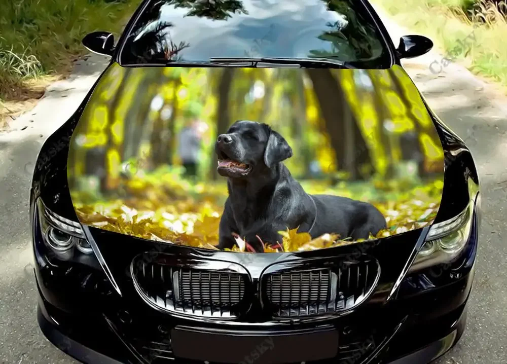 Лабрадор собака животное наклейка на капот автомобиля виниловая графическая