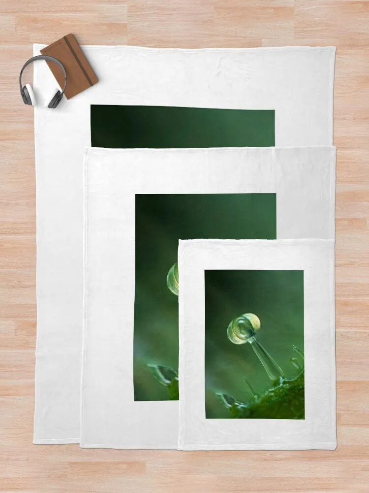 Волосы из листьев томатов LM (C021/9631) Одеяло Декоративные кровати Роскошные