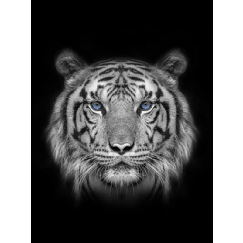 

Diamond Painting Animal Tiger 5d Diy Mosaic Full Square Round Drill Diamant Of Rhinestone Daimond Embroidery Black White Picture