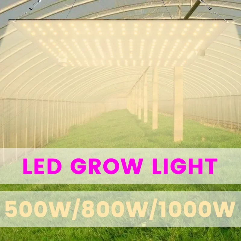 

LM281B Phytolamp For Plant LED Grow Light Full Spectrum Phyto Lamp For Plant Light 1000W Growbox Quantum Borad Backlight