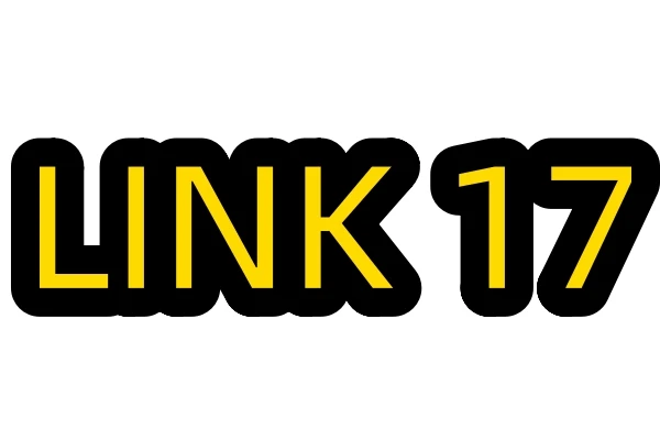 

Платье бренда ZM на заказ по ссылке 17