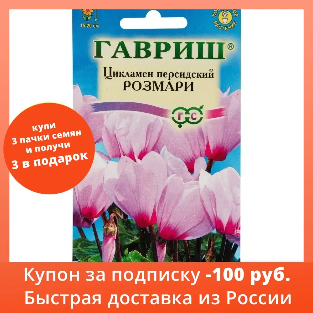 Цикламен персидский Розмари 3 шт.| Бесплатная доставка из РФ | 1 упаковка Дом и сад