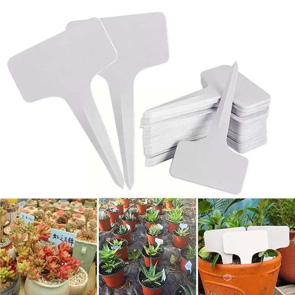 

White Plastic Plant Floral Label T-type Tags Markers 6*10cm Nursery Garden Indicator Blank B2N9