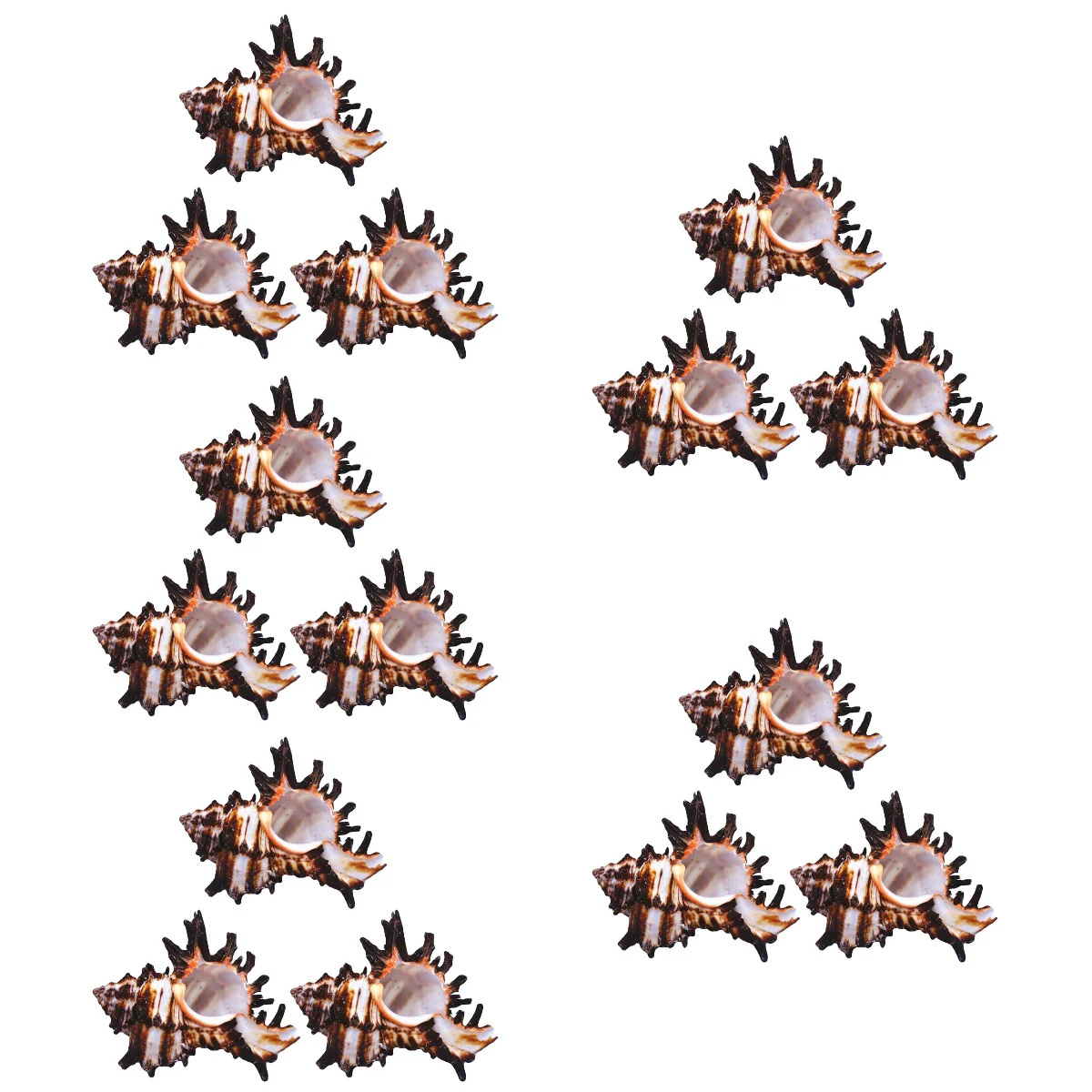 

pcs Wear-resistant Firm Shatter-proof Lasting Shell And Conch Landscaping Natural Conch Adorn for Home Decor