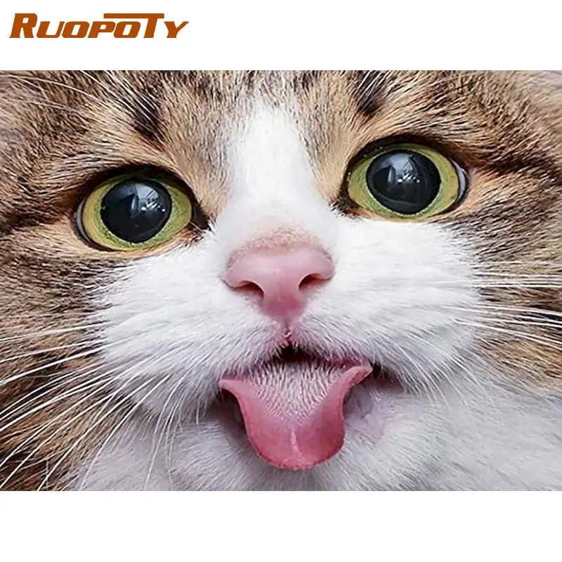 

RUOPOTY Full Square Diamond Embroidery cat Diamond Painting New Arrivals Animals Rhinestone Picture Kitchen Home Decoration