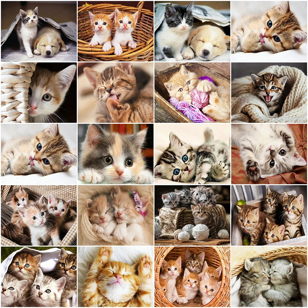 Набор для алмазной живописи MomoArt 5D, вышивка крестиком в виде кошки, собаки, мозаика с животными, хобби