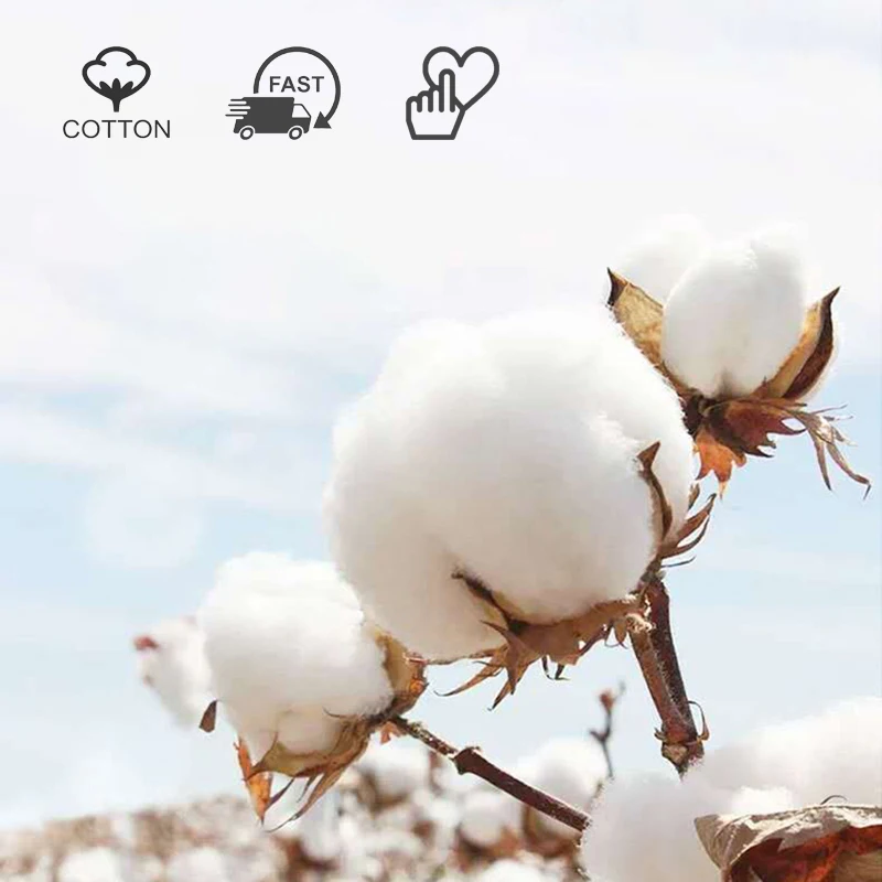 Мужские носки хлопчатобумажные летние весенние короткие мужские с пятью