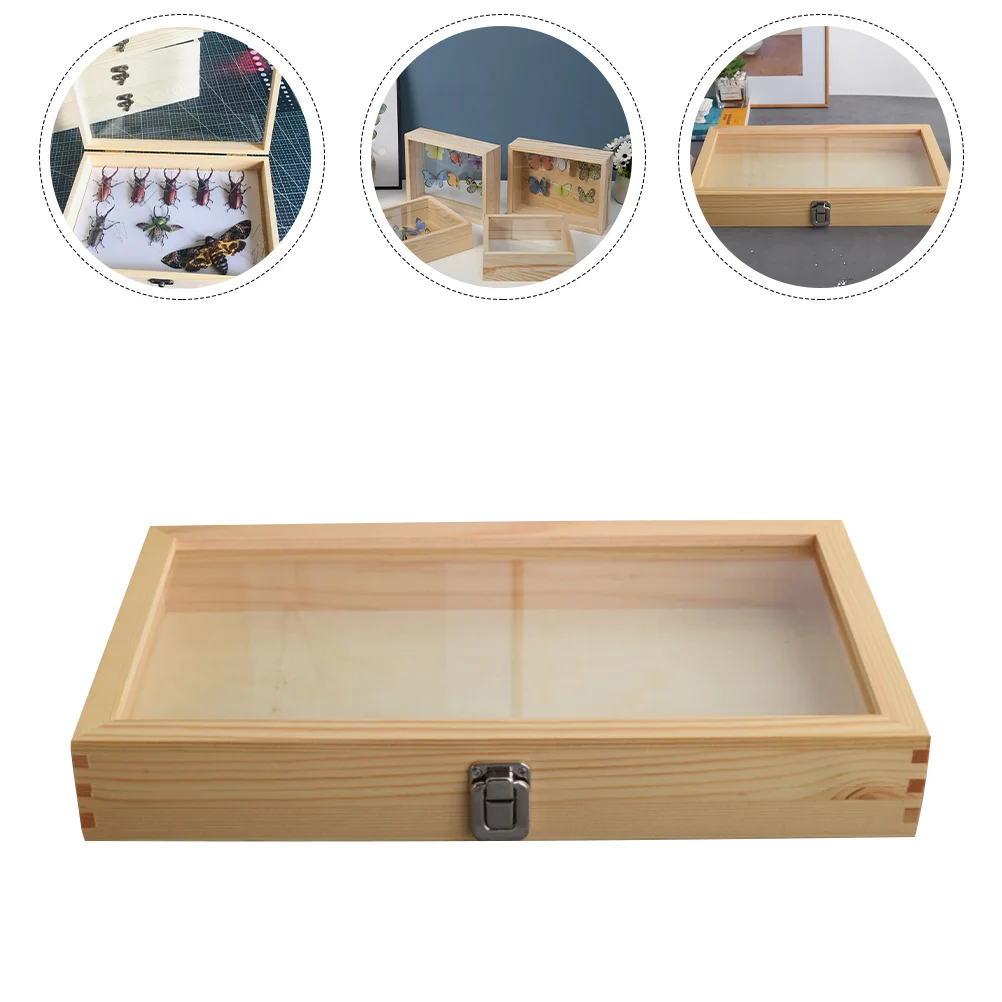 

Insect Display Case Wooden Butterflies Specimen Display Box Durable Vintage Specimen Case with Dustproof Transparent Cover