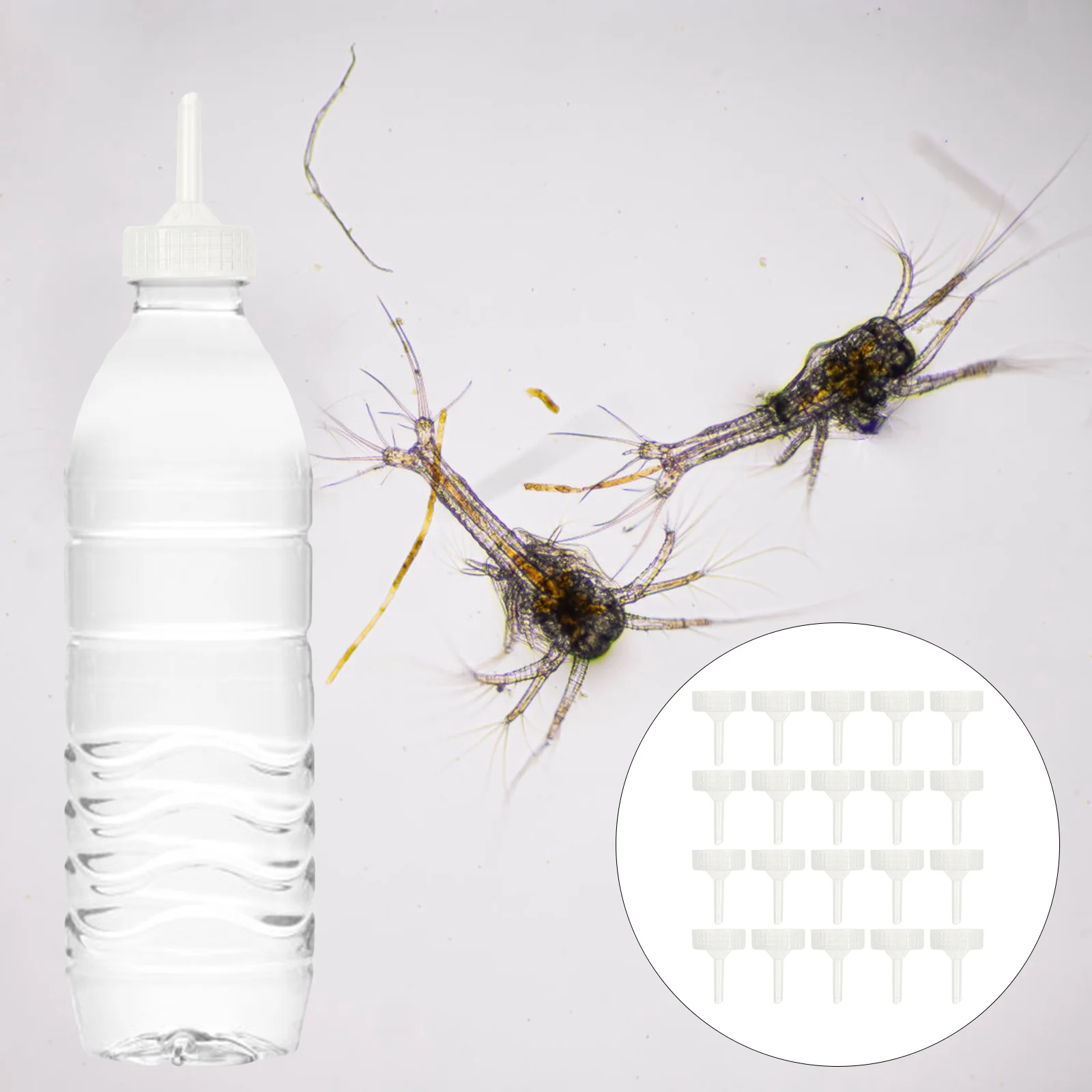 

Shrimp Incubator Bottle Caps Box Hatchery Brine Egg Cap Breeding Aquarium Adapters Covers Artemia Breeder Cola Incubating