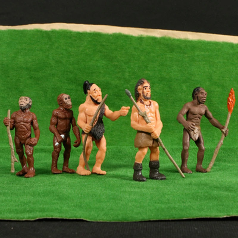 

Children's Toy Simulation Human Evolution Of Man Primitive Human Model Figures Toy Teaching Materials Science Educational Toys