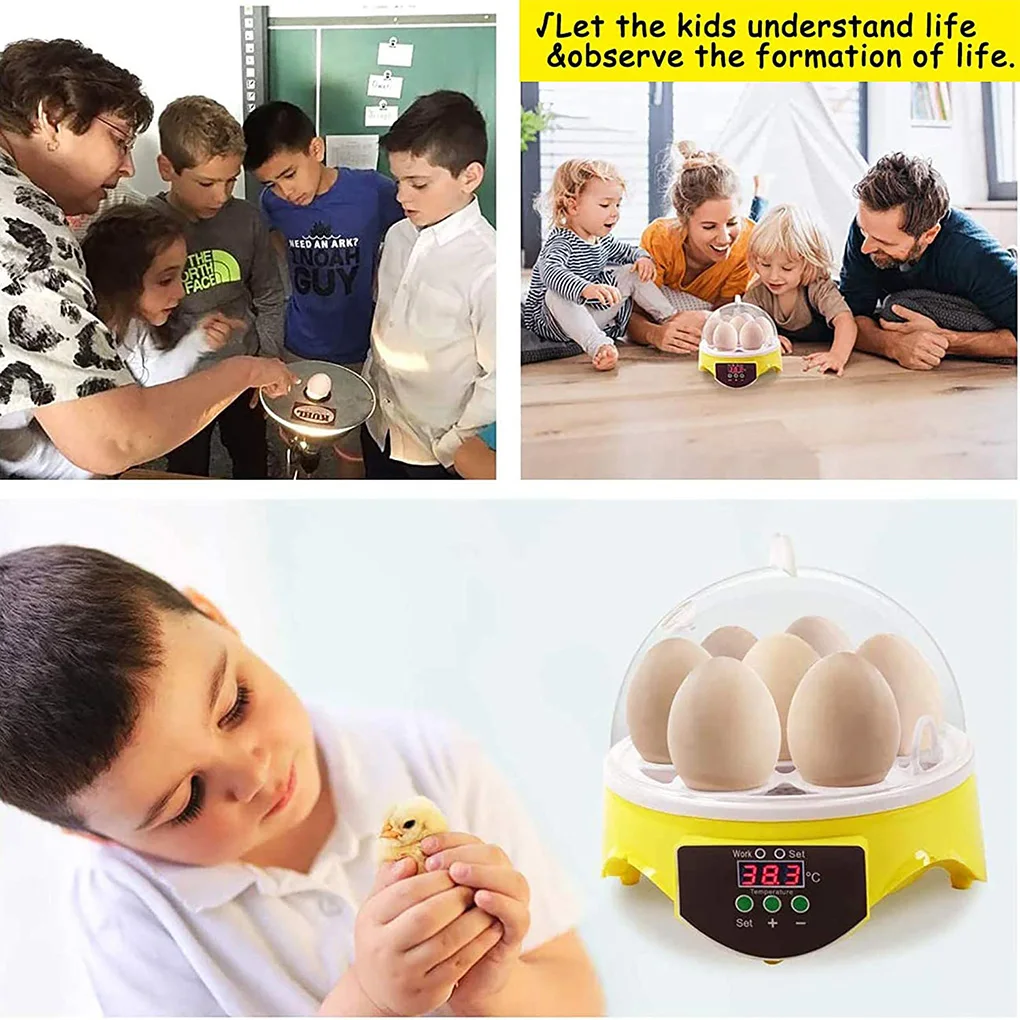 

Автоматический инкубатор для яиц, 7 яиц