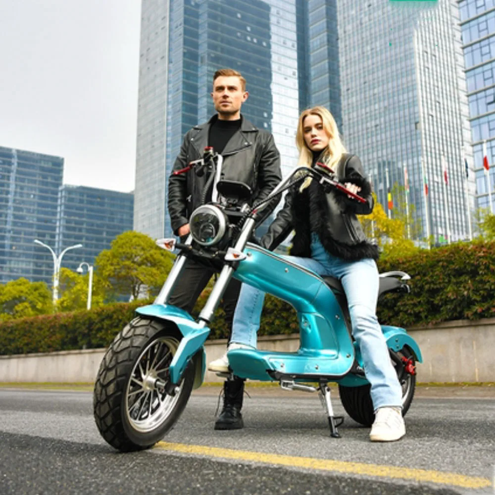 big wheel electric bike