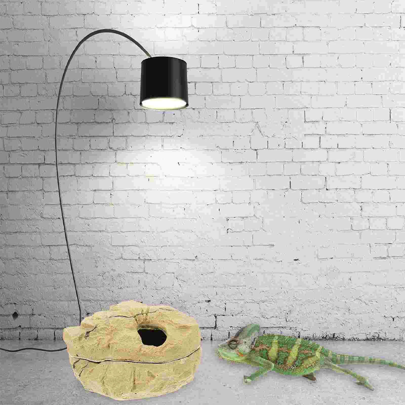 Укрытие для ящерицы паук принадлежности рептилий чтобы восховать краб-отшельник