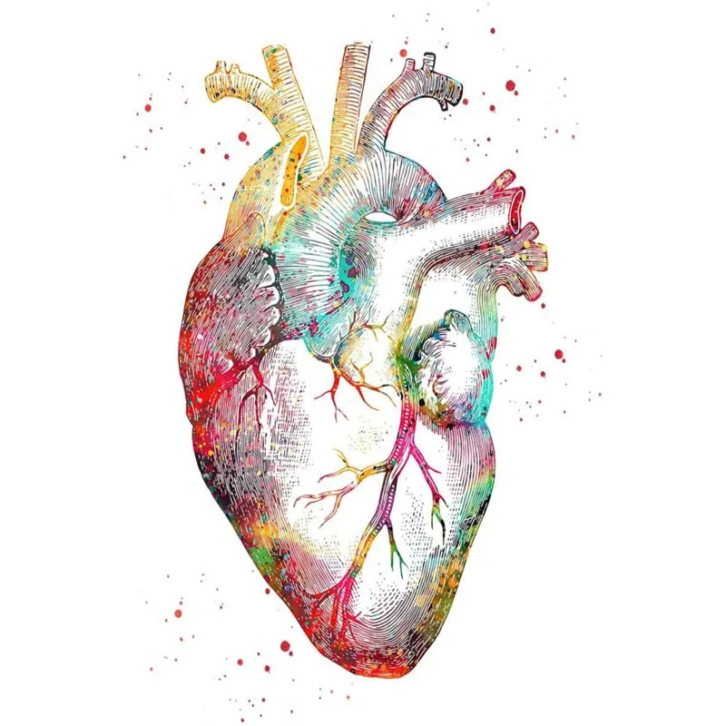 

Human Heart Brain Lungs Wall Art Canvas Fabric Poster Printing Anatomy Art Abstract Poster PrintsPictures Doctor Office Decor