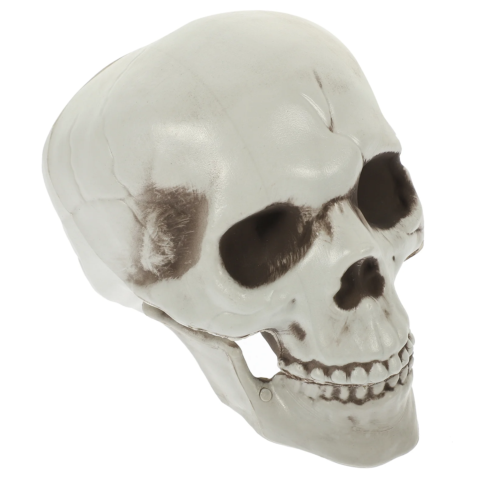 

Haunted House Prop Halloween Party Photo Simulated Artificial Ornament Simulation Scary Props