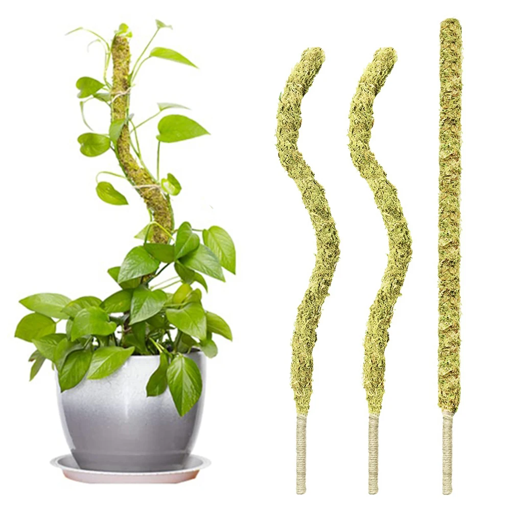 Natural Sphagnum Moss Pole for Plants Monstera New Upgrade Moss Poles for Climbing Plants Bendable DIY Shape Use Plant Support