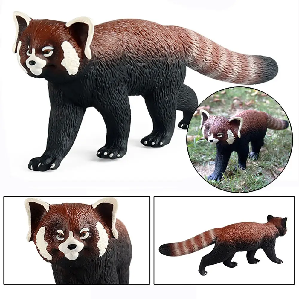 

Kids Cognition Science & Nature Lifelike Red Panda Model Ailurus Fulgens Figurine Simulation Wildlife Zoo Scenes