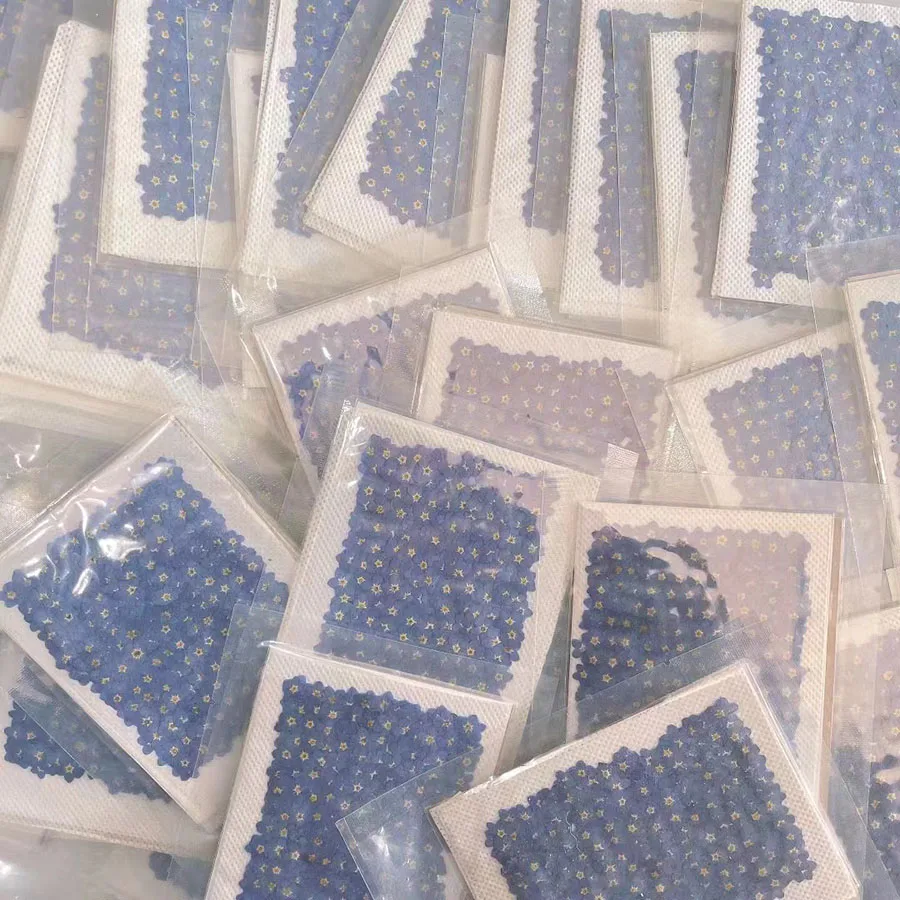 

250pcs Pressed Dried Natural Mini Blue Myosotis Sylvatica Forgetmenot Flower Plant Herbarium For Jewelry Phone Case Nailart DIY