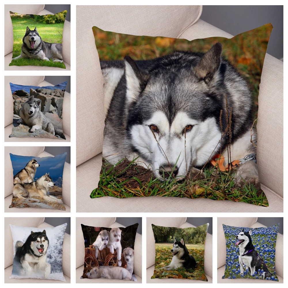 

Husky Dog Pet Animal Luxury Throw Pillow Case Cushion Cover Home Living Room Decorative Pillows For Sofa Bed Car 45*45 Nordic