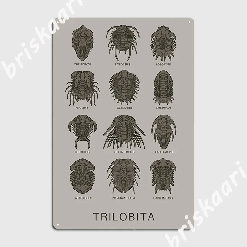 

Trilobita Poster Metal Plaque Create Wall Mural Cave Pub Poster Tin Sign Posters