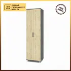 Шкаф Карина 2-х створчатый К21 ЛДСП