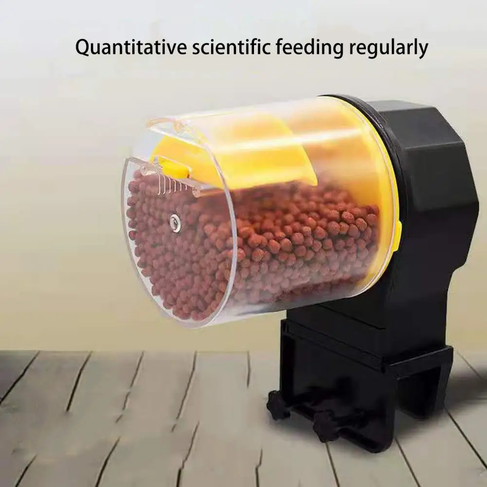 

Practical Aquarium Feeder Powered by Battery Auto Fish Feeder 12h/24h Large Capacity Fish Aquarium Feeder Food Dispenser