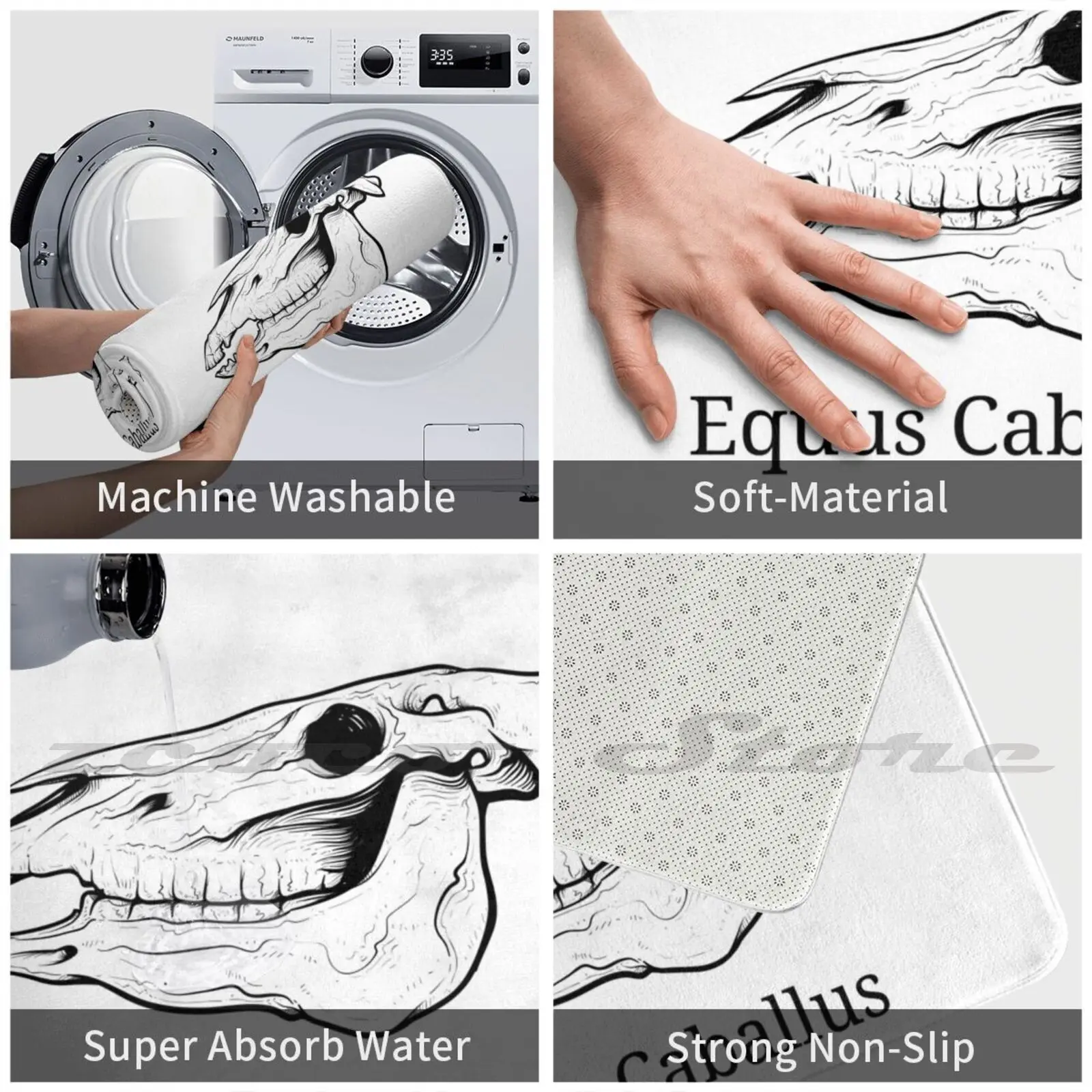 Череп лошади-Анатомия эквина-ветеринарный студенческий дизайн. Мягкий