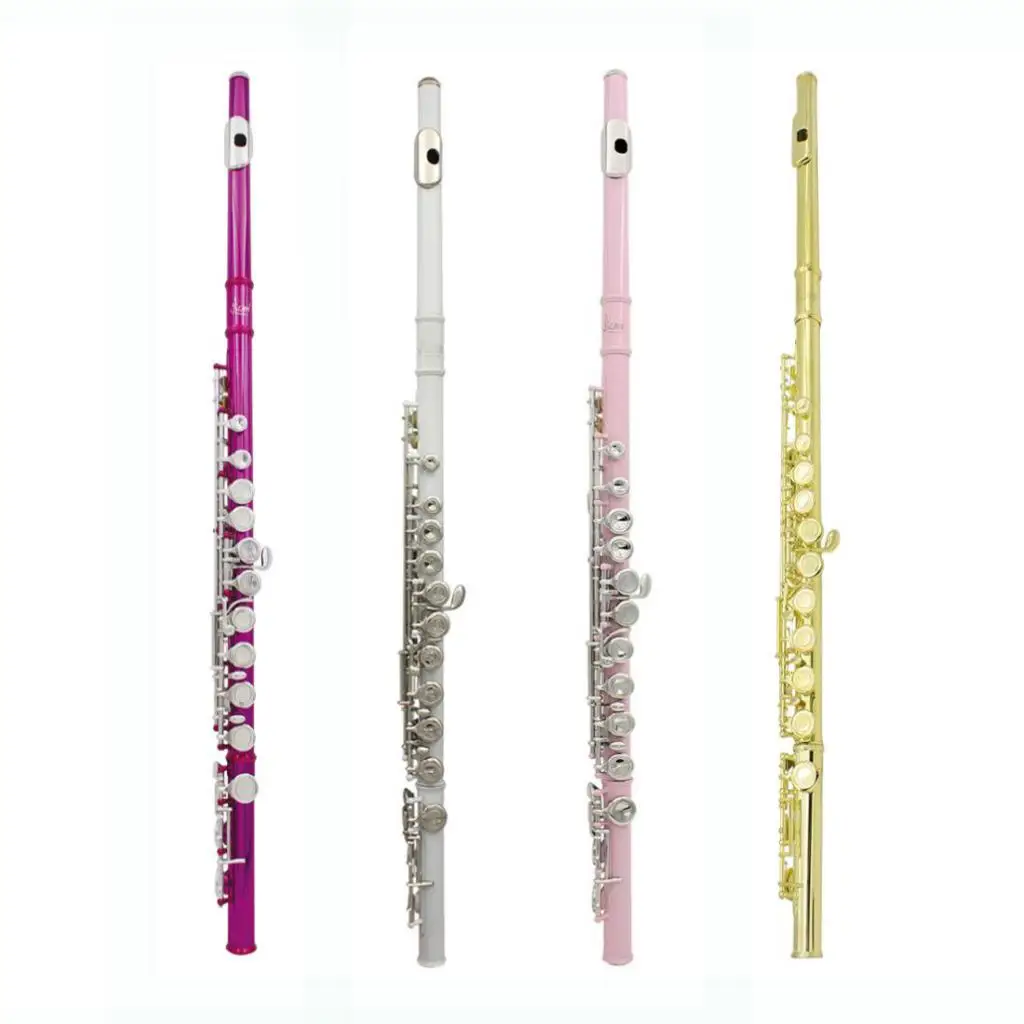 

LADE 16 Holes C Key Flute With Cleaning Cloth Stick Padded Box Gift