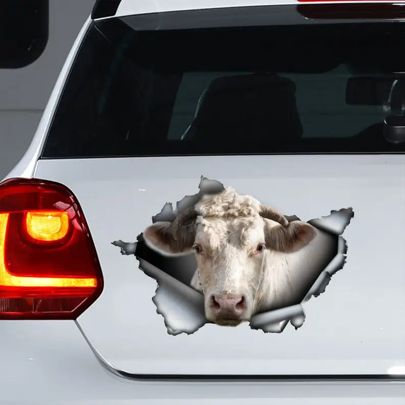 

Charolais cow decal, Charolais magnet, Charolais sticker, white cow decal