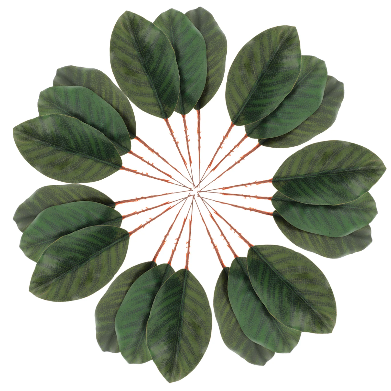 

30 Pcs Accessories Artificial Magnolia Leaves Green Photography Prop Silk Cloth Decorative