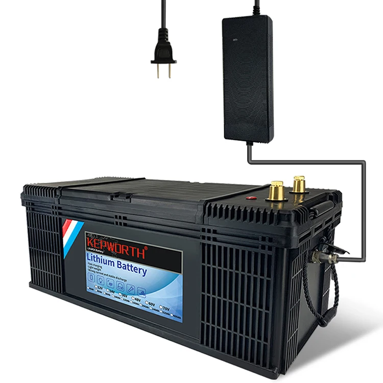 

EU/USA Stock Lifepo4 24v 100ah Battery Pack Lithium Battery 24v 100ah With BMS For Golf Rv Solar System UPS