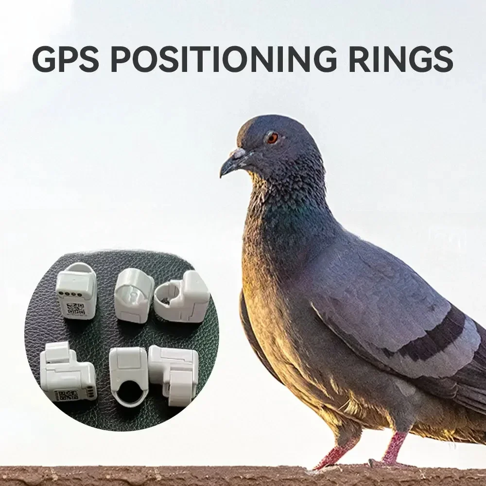 1 шт. кольцо для GPS-слежения с попугаем и птицей 110 мАч белый гоночный голубь