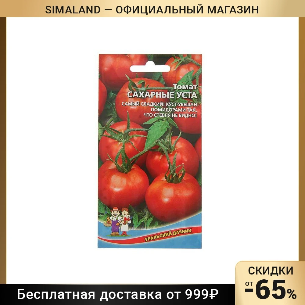 Томат Сахара Отзывы Фото