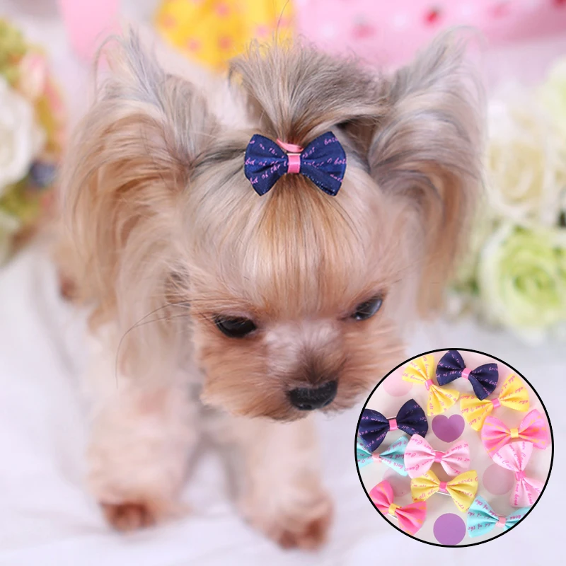 

5/10/20Pcs Pet Dog Hair Clips Dogs Accessories Small Puppy Cat Hair Clip Pet Hair Accessories Dog Hair Grooming Cat Accessoires