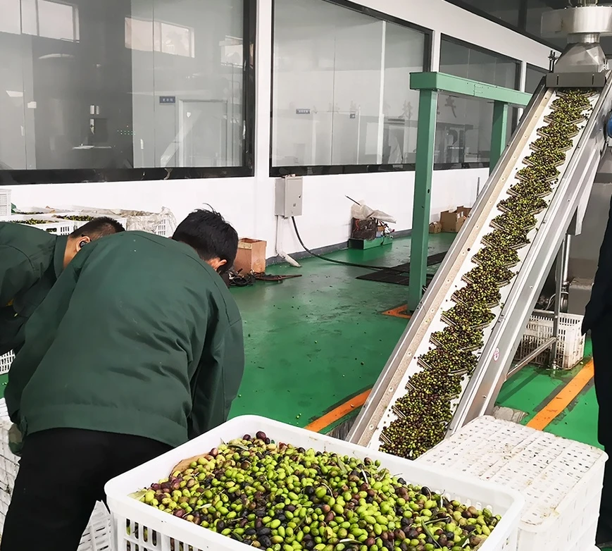 Центробежная экстракция EVOO-3500 3-4TPH экстра-Класса Virgin экстрактор оливкового масла