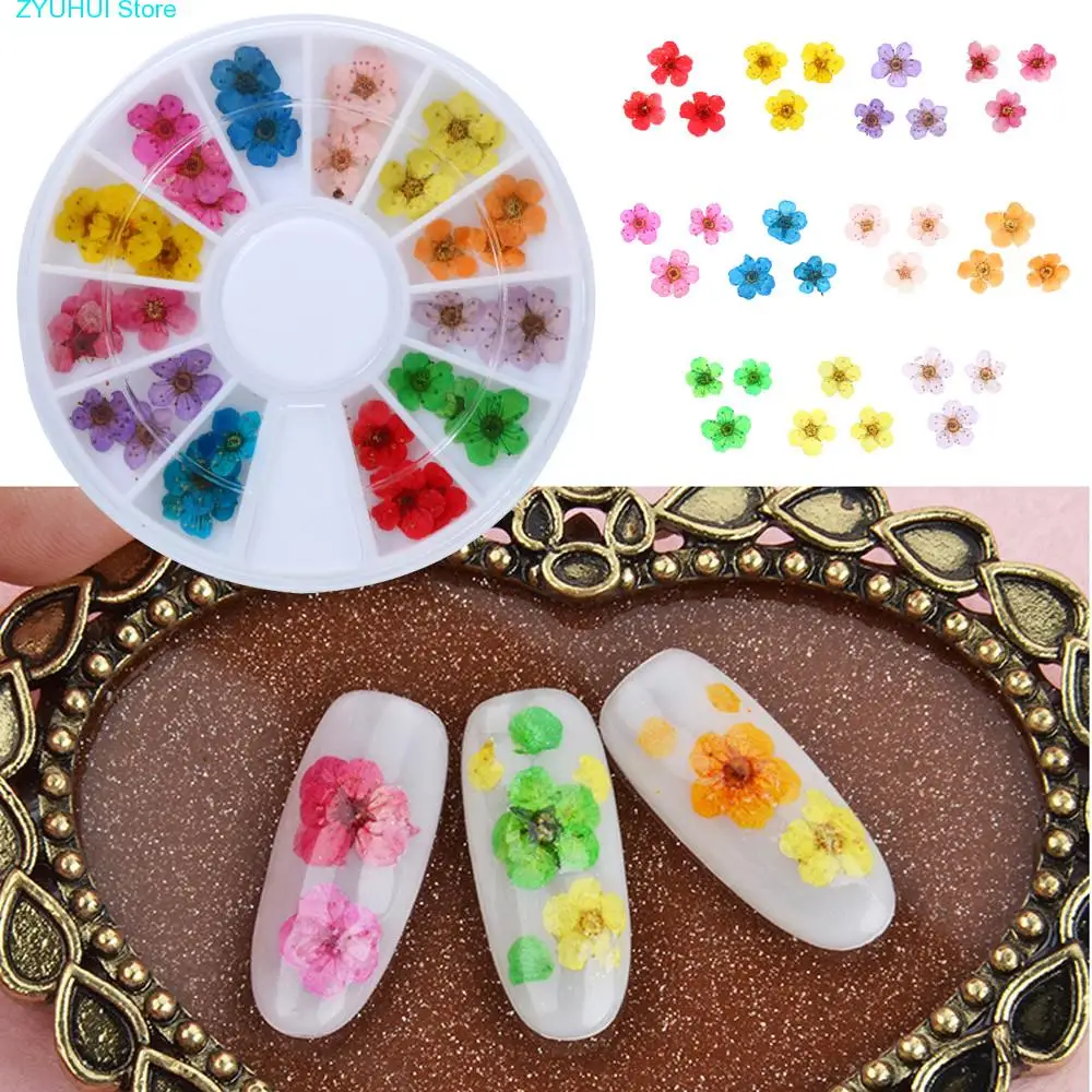 

Natural Dry Flowers Set Decals Nail Art 3D Multi Color Floral Slices Gel Polish Decoration DIY Manicure Accessories Hot Selling