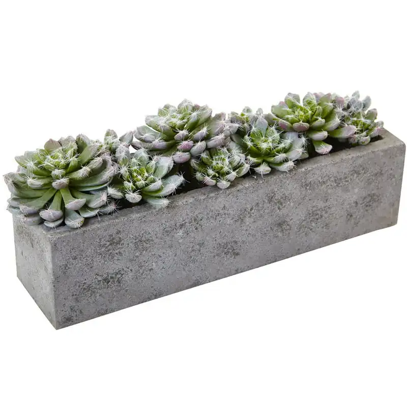 

Succulent Garden Artificial Plant with Textured Concrete Planter, Green