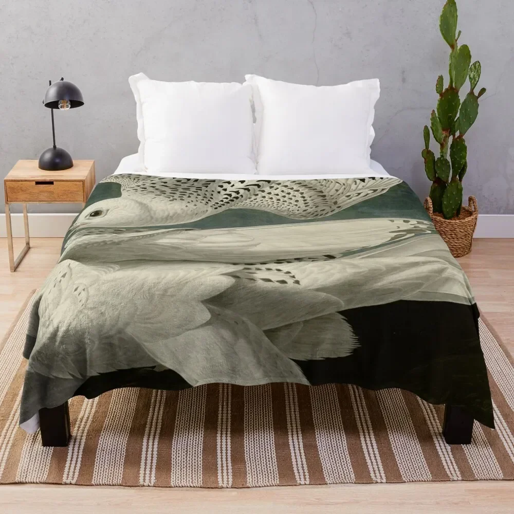 Фрагменты Исландии или Джера Сокол от J.J.Audubon / Винтажные иллюстрации птиц