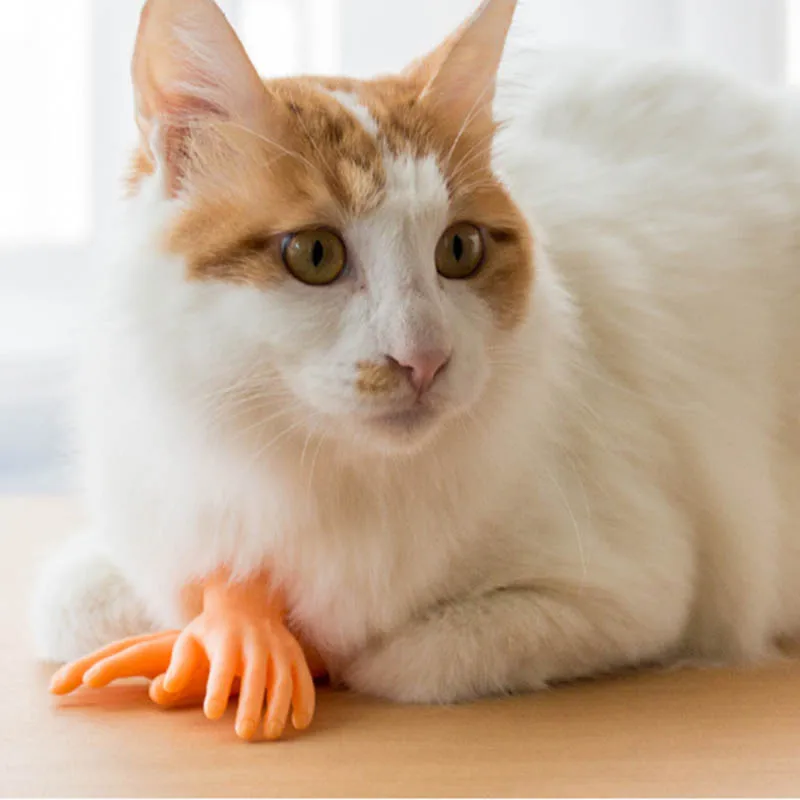 

Миниатюрная модель для поддельных рук, инструмент для массажа кошек, забавные силиконовые перчатки, перчатки для пальцев, детские пальцы