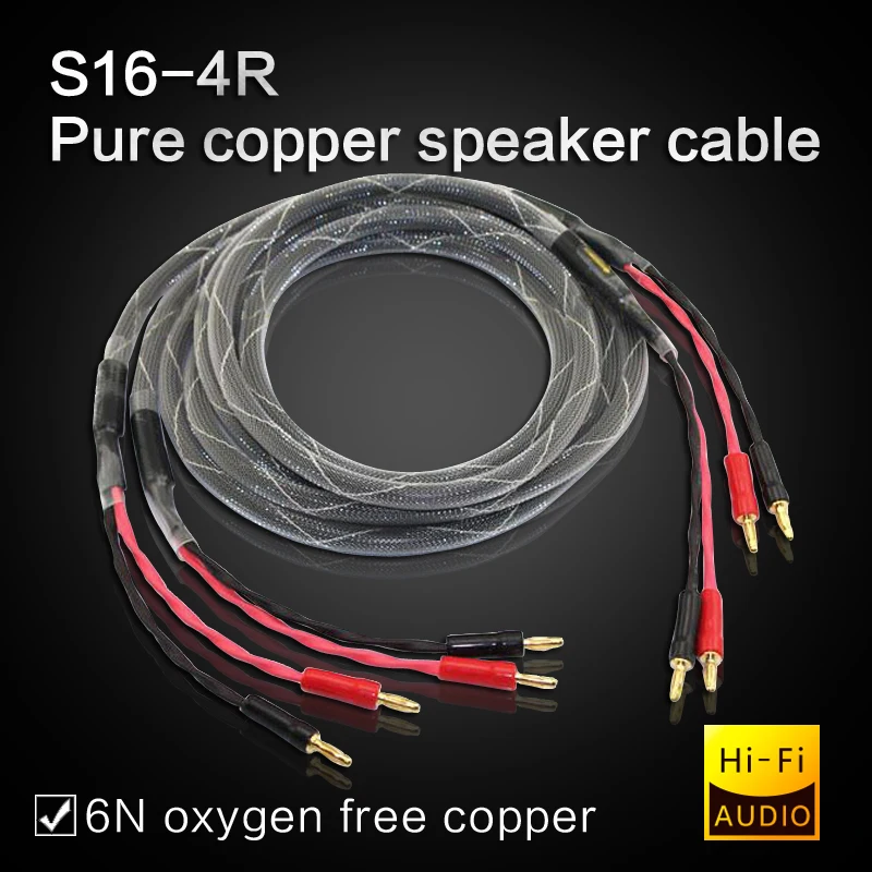 DIYLIVE Pure copper HIFI speaker cable front surround cable 