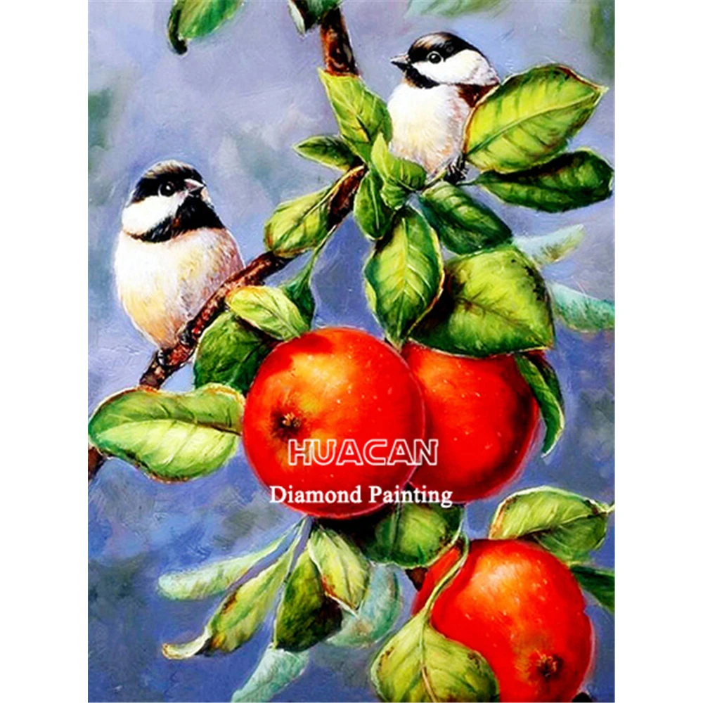 

Алмазная 5D Вышивка «сделай сам» с птицами, набор для алмазной мозаики, домашний декор, рождественский подарок, рукоделие для детей